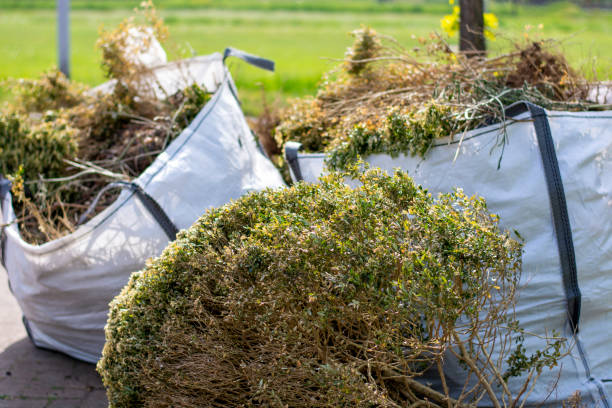 Attic Cleanout Services in Orlovista, FL