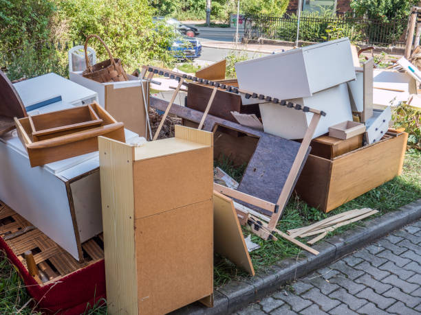 Best Yard Cleanup Services  in Orlovista, FL
